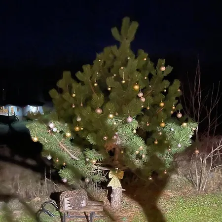 ヴィラ Xenos Loft Karakter