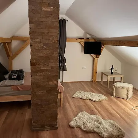 ヴィラ Xenos Loft Karakter *