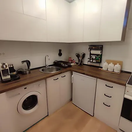 ヴィラ Xenos Loft Karakter ズラティボール