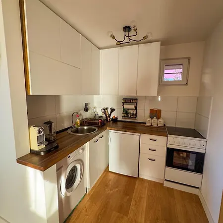 Xenos Loft Karakter ズラティボール