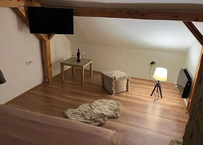 Xenos Loft Karakter * Zlatibor