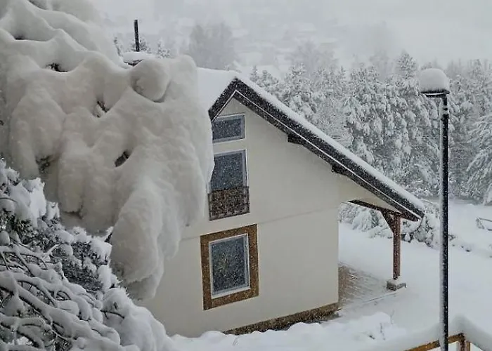 Xenos Loft Karakter Zlatibor