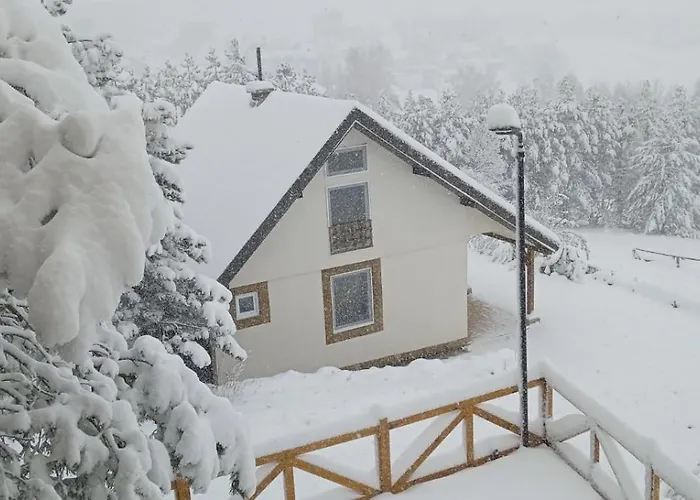 Xenos Loft Karakter *