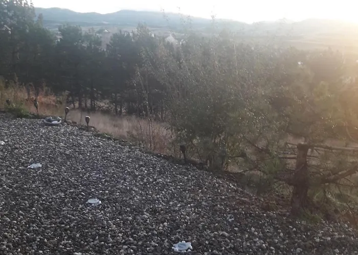 Xenos Loft Karakter Zlatibor