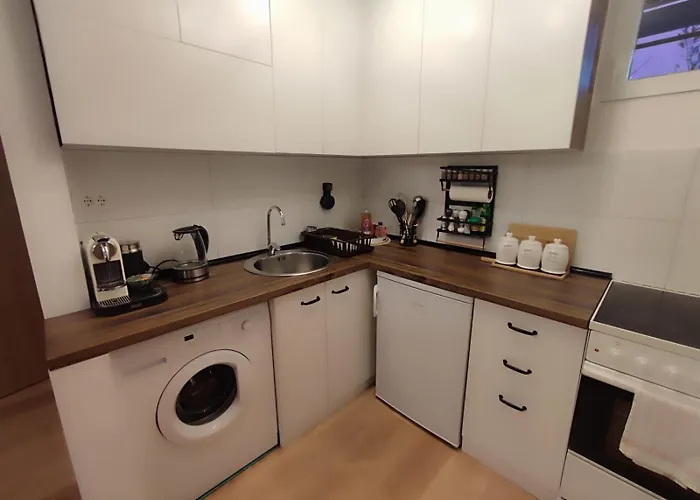 Villa Xenos Loft Karakter Zlatibor