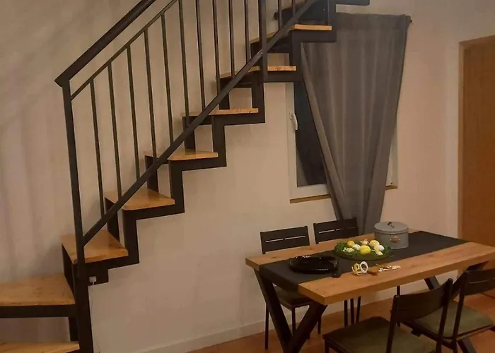 Xenos Loft Karakter * Zlatibor