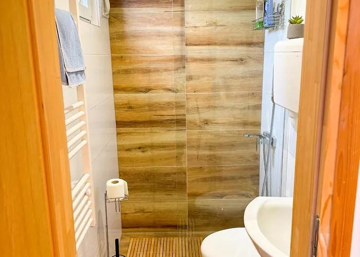 Villa Xenos Loft Karakter Zlatibor