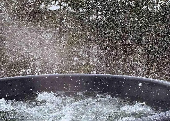 Xenos Loft Karakter Zlatibor